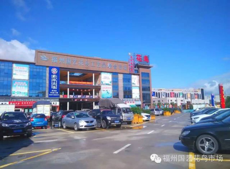 故事叙述类：探寻“银通官网”背后的商业秘密