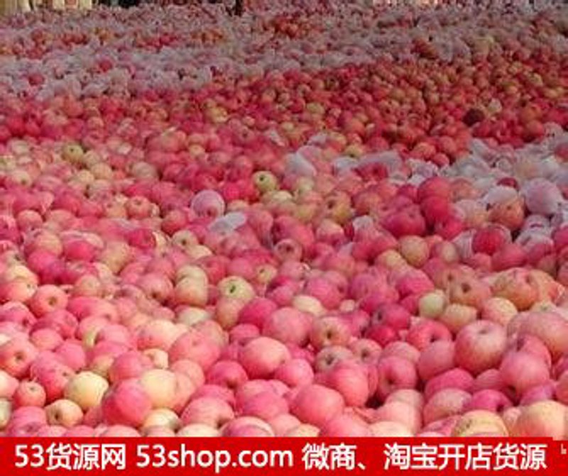 批发供货商