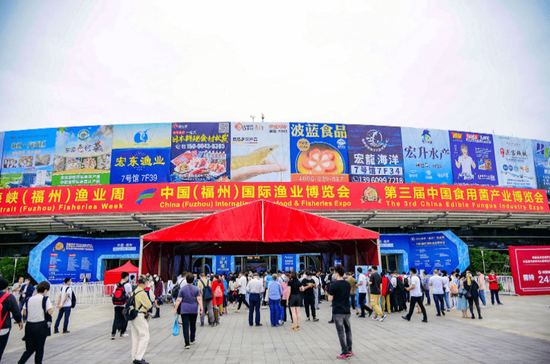 银通官网：打造企业品牌的新窗口