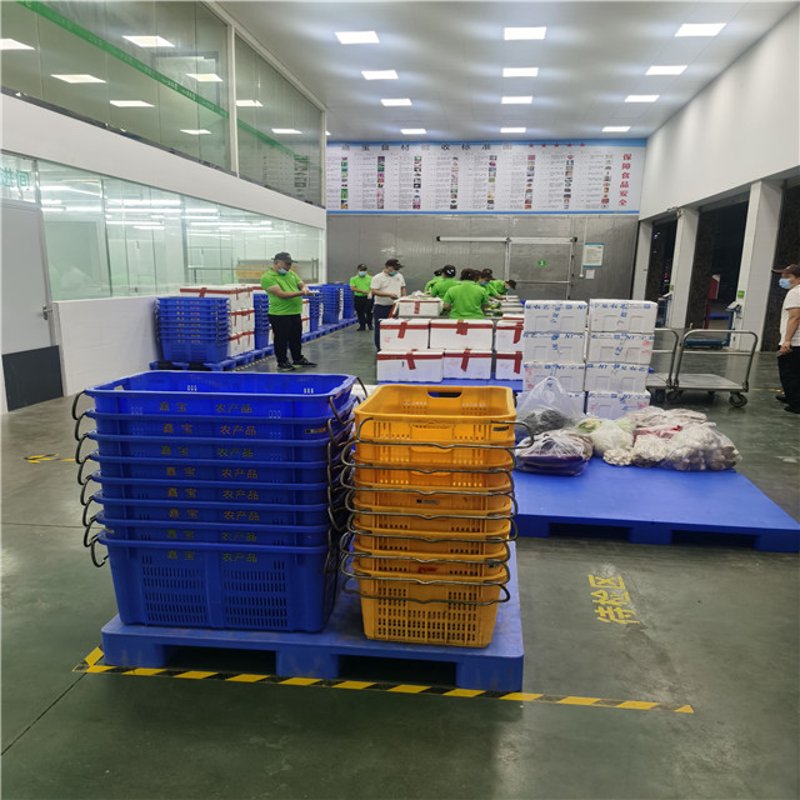 银通官网的故事：从新手到行业先锋